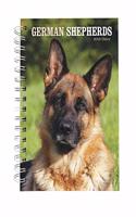 GERMAN SHEPHERDS EGMT D 2019