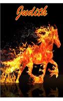 Horse Passion