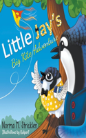 Little Jay's Big Kite Adventure