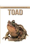 Toad