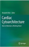 Cardiac Cytoarchitecture