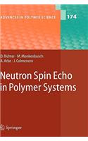 Neutron Spin Echo in Polymer Systems