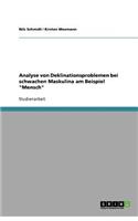 Analyse von Deklinationsproblemen bei schwachen Maskulina am Beispiel Mensch