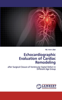 Echocardiographic Evaluation of Cardiac Remodeling