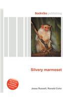Silvery Marmoset: (English)