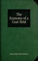 Economy of a Coal-field