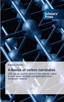 Basics of carbon nanotubes