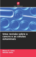 Uma revisão sobre o cancro e as células estaminais