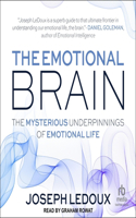 Emotional Brain: The Mysterious Underpinnings of Emotional Life