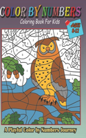 COLOR BY NUMBERS Coloring Book For Kids.