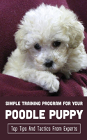 Simple Training Program For Your Poodle Puppy: Top Tips And Tactics From Experts: Clicker