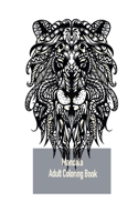 Mandala Adult Coloring Book