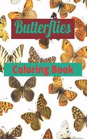 Butterflies Coloring Book: Awesome Coloring book for Kids featuring adorable Butterflies with beautiful patterns, for ages (2-3, 3-5, 5-8, and 8-12)