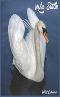 Mute Swan 2022 Calendar: Official Swan Birds Calendar 2022, 16 Month Square Calendar