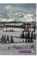 Little Celebrations, Animals of the Tundra, Single Copy, Fluency, Stage 3b