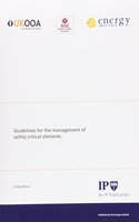 Guidelines For The Management Of Safety Critic Al Elements, 2Nd. Ed.