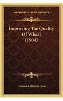 Improving the Quality of Wheat (1904)