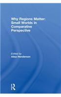 Why Regions Matter: Small Worlds in Comparative Perspective