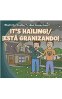 It's Hailing! / ¡Está Granizando!: (What's The Weather? / ¿Qué Tiempo Hace?)