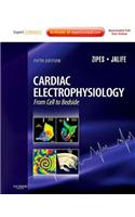Cardiac Electrophysiology: From Cell to Bedside E-Book