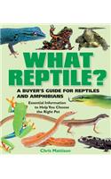 What Reptile?
