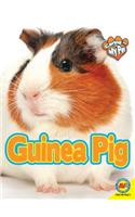 Guinea Pig