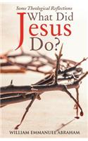 What Did Jesus Do?