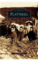 Plattekill