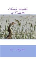 Birds, turtles and Collette