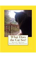 What Does the Cat See?: Nouns, Proper Nouns and Pronouns