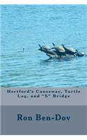 Hertford Causeway, Turtle Log, and S Bridge