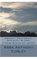 Haggai, Zechariah, Malachi, & Joel