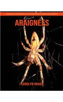 Araignées