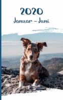 Kalender 2020: Australian Shepherd Hunde Tageskalender 1. Halbjahr Januar Juni ca DIN A5 weiß über 190 Seiten