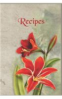 Recipe Journal To Write In
