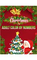 Christmas Adult Color By Numbers: a beautiful coloring book with Christmas