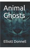 Animal Ghosts