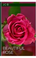 Beautiful Rose