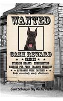Giant Schnauzer Dog Wanted Poster