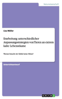 Erarbeitung unterschiedlicher Anpassungsstrategien von Tieren an extrem kalte Lebensräume