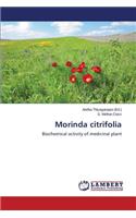 Morinda Citrifolia