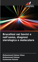 Brucellosi nei bovini e nell'uomo, diagnosi sierologica e molecolare