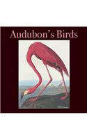 Audubons Birds