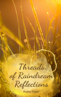 Threads of Raindream Reflections