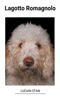 Lagotto Romagnolo