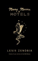 Many Moons & Motels