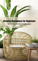 Growing Houseplants for Beginners