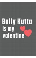 Bully Kutta is my valentine: For Bully Kutta Dog Fans