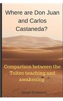 Where are Don Juan and Carlos Castaneda?