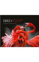 Bird Photographer of the Year: Collection 3